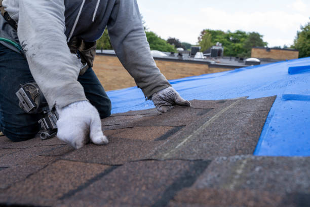 Best Storm Damage Roof Repair  in Lewisport, KY