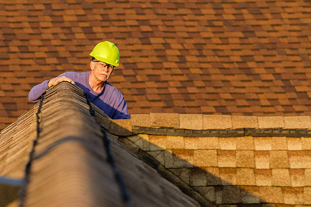 Best Roof Gutter Cleaning  in Lewisport, KY
